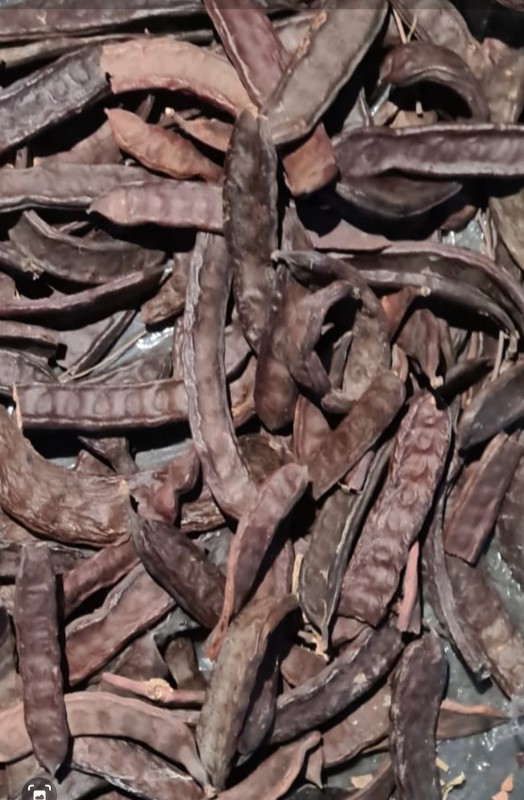 Carob Ginger Lavender Thym from Marocco